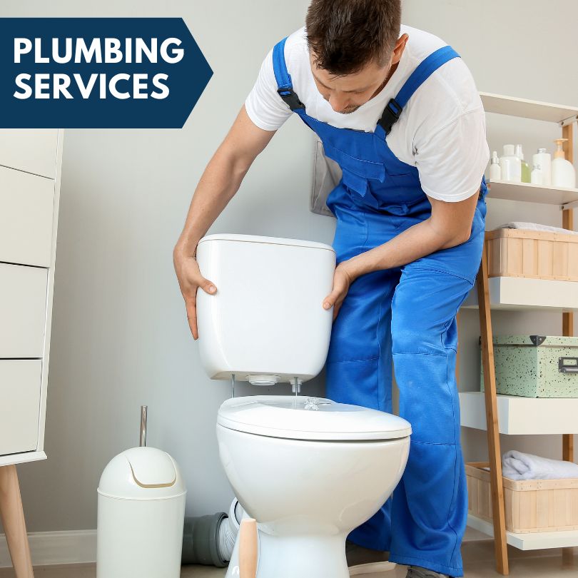Plumbing Company in Pullman, MI